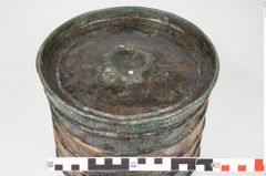 Foto von Bronzerippenziste (NHMW-PRAE-025462)